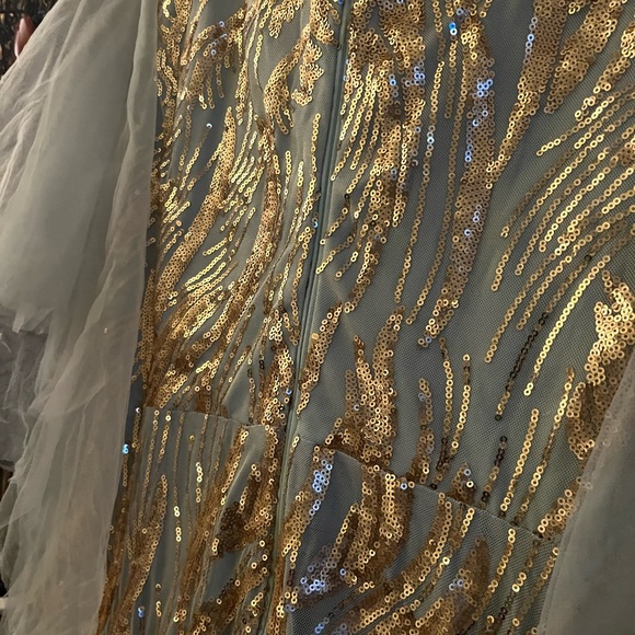 Elegant Formal Evening Gown - Picture 10 of 11